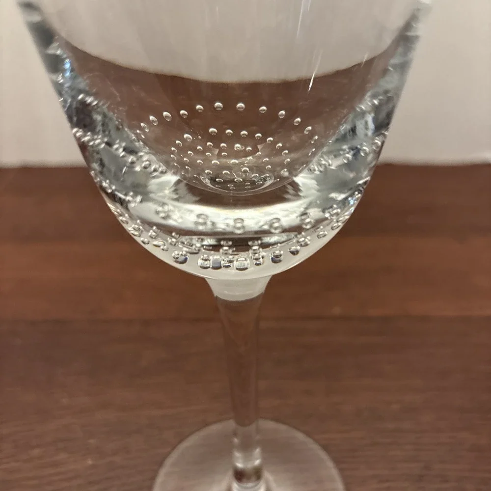Pier 1 Bubbles Water Goblet 9 1/8